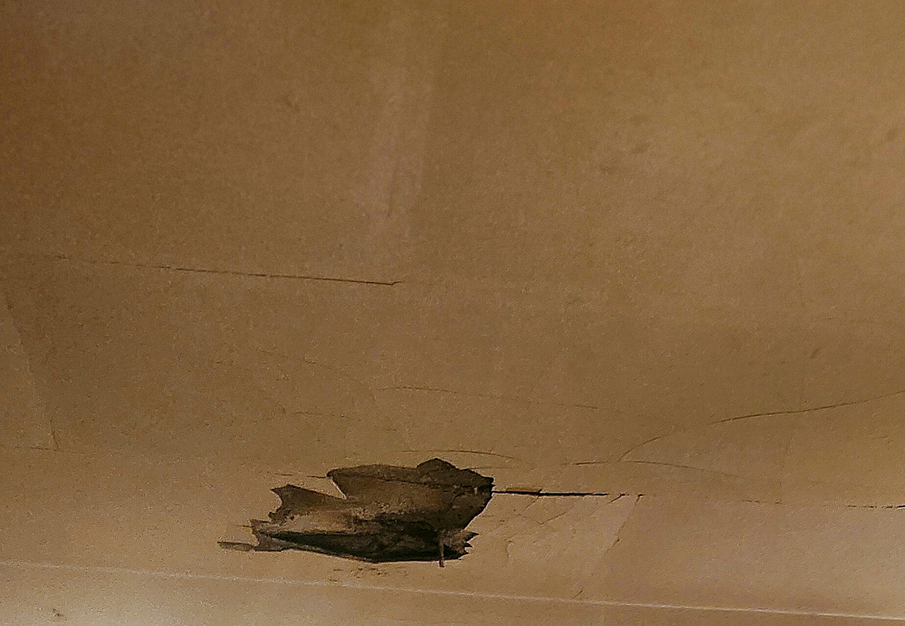 Collapsed ceiling home before cash purchase Metro East IL